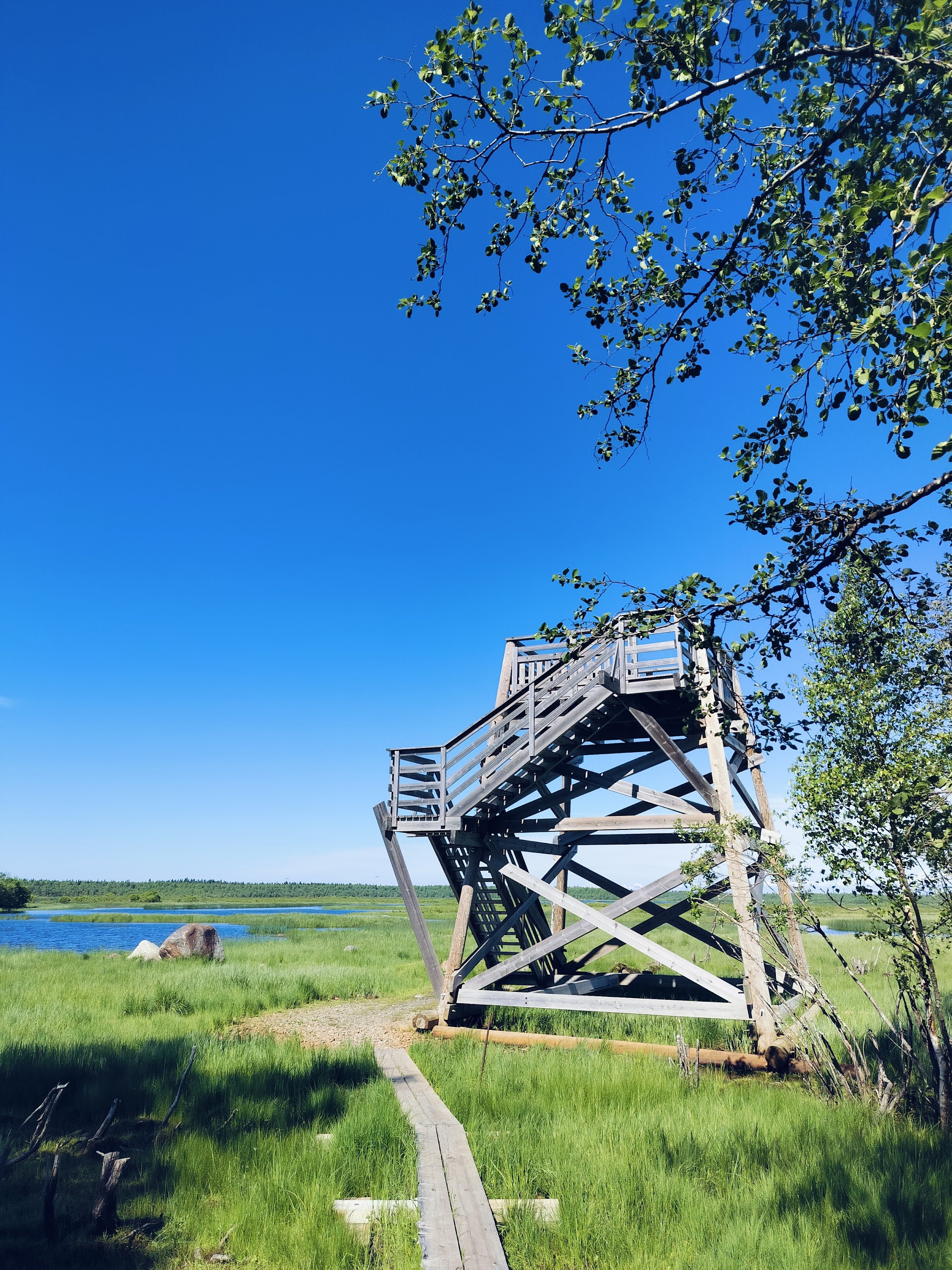 Hiastinhaara Nature Trail